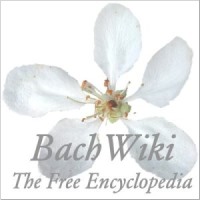 bachwiki - Hier soll hnlich zur bekannten Enzyklopdie Wikipedia eine Wissensdatenbank zum Thema Bachblten entstehen.