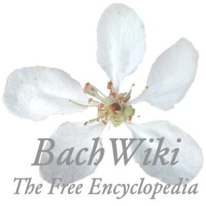 bachwiki - Hier soll hnlich zur bekannten Enzyklopdie Wikipedia eine Wissensdatenbank zum Thema Bachblten entstehen.