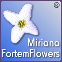 Fortem Flowers - innovative Remedies fr eine neue Welt